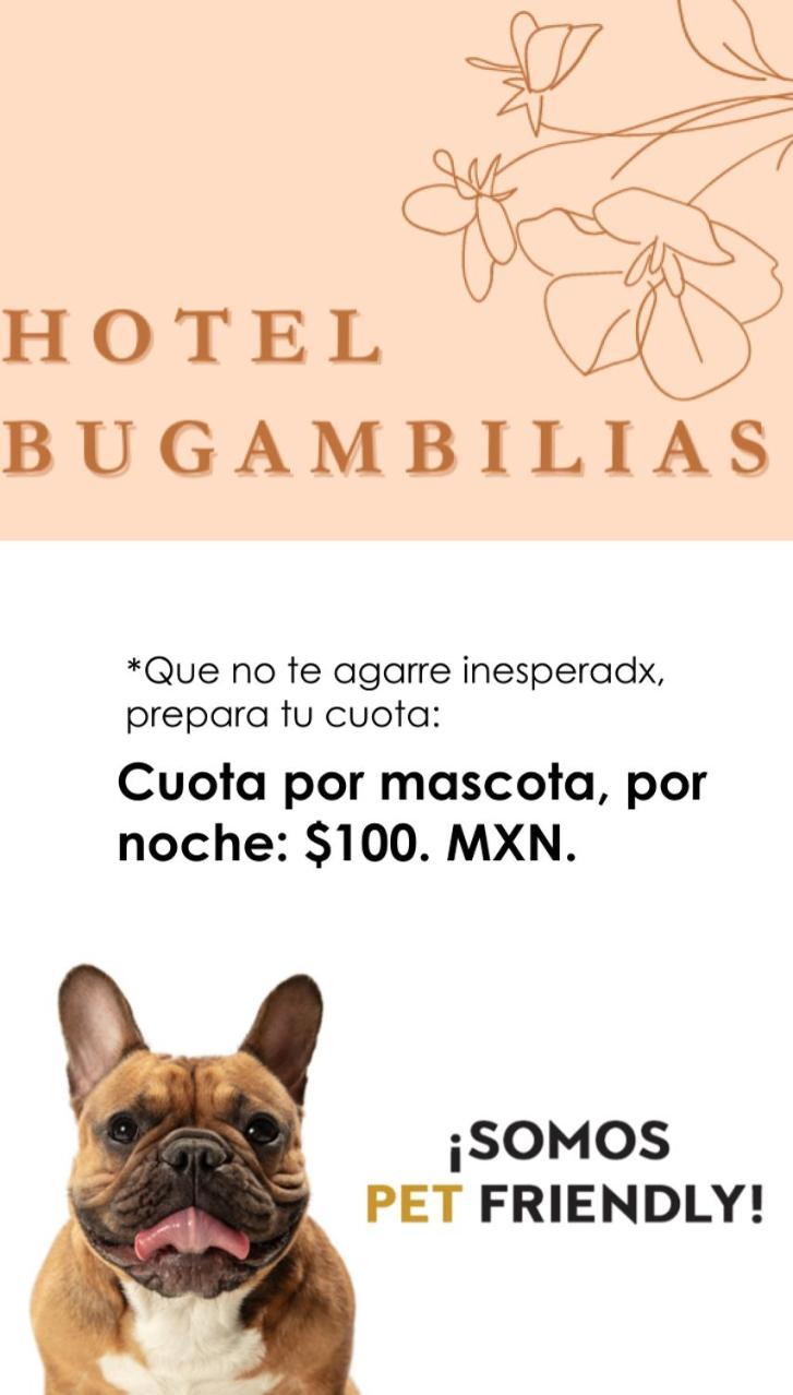 Hotel Bugambilias Oaxaca Ngoại thất bức ảnh